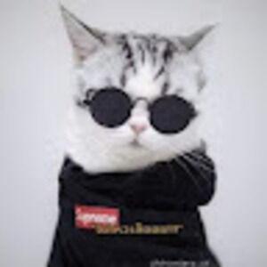 Meet your Posher, ราชัน